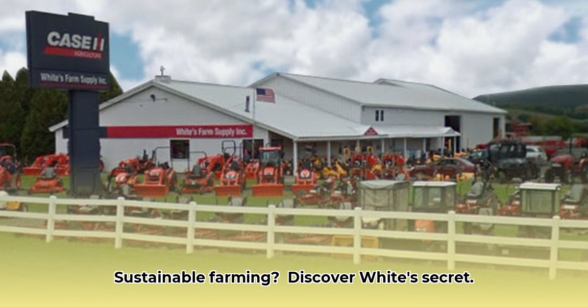 white-s-farm-supply-waterville